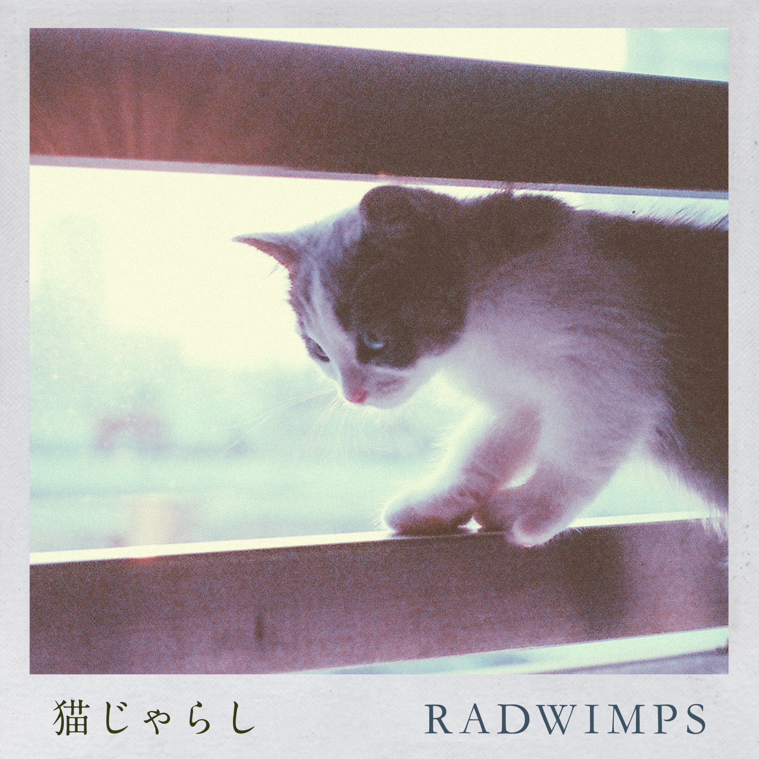 RADWIMPS 【猿ジャケ】 71Wwq5M+VyL._UF350,350_QL50_.jpg